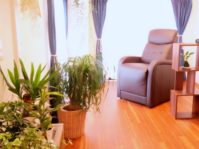 Luana eyelash（阿佐ヶ谷）のメンズ眉毛サロン
