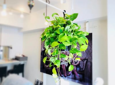 美眉とパリジェンヌラッシュリフト専門店 secret 店内写真 3枚目