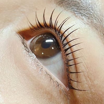 THE EYEBROW「ザ・アイブロウ」天神店 HBL/眉毛/まつげパーマサロン 店内写真 4枚目