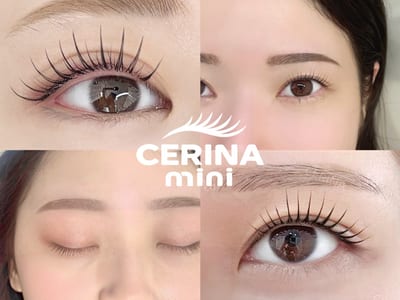 CERINA mini 店内写真 2枚目