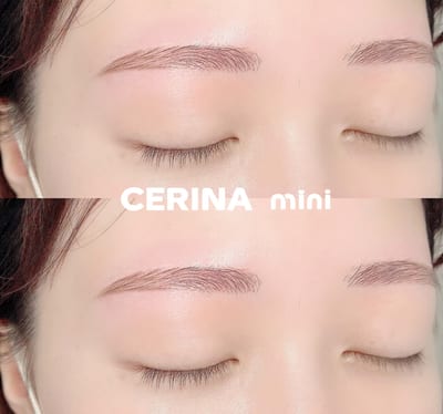 CERINA mini 店内写真 3枚目