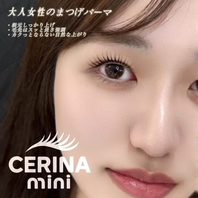 CERINA mini 店内写真 4枚目
