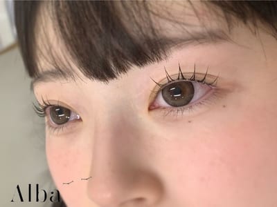 Alba 店内写真 3枚目