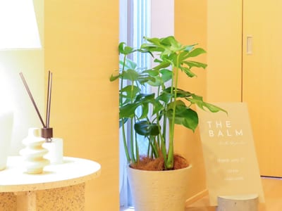 THE BALM 神楽坂店 店内写真 4枚目