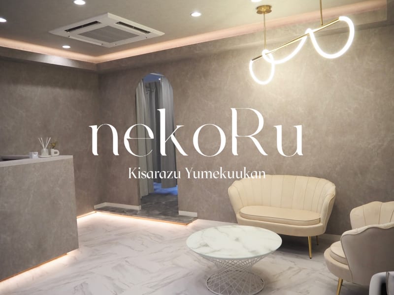 nekoRu アイラッシュ＆アイブロウサロン 木更津 夢空間店（市原）のメンズ眉毛サロン