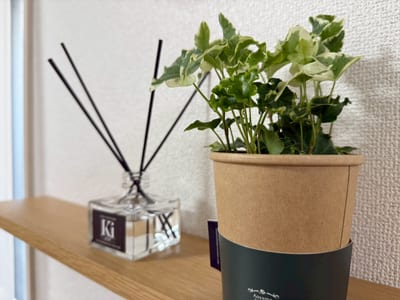 FeliceBEAUTY北千住店 まつ毛パーマ アイブロー 店内写真 2枚目