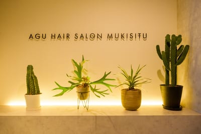 Agu hair mukisitu国分寺 店内写真 4枚目