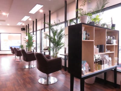 LAMP of hair Relaxation 店内写真 1枚目