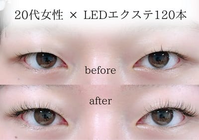Sein 根津・千駄木 店内写真 2枚目