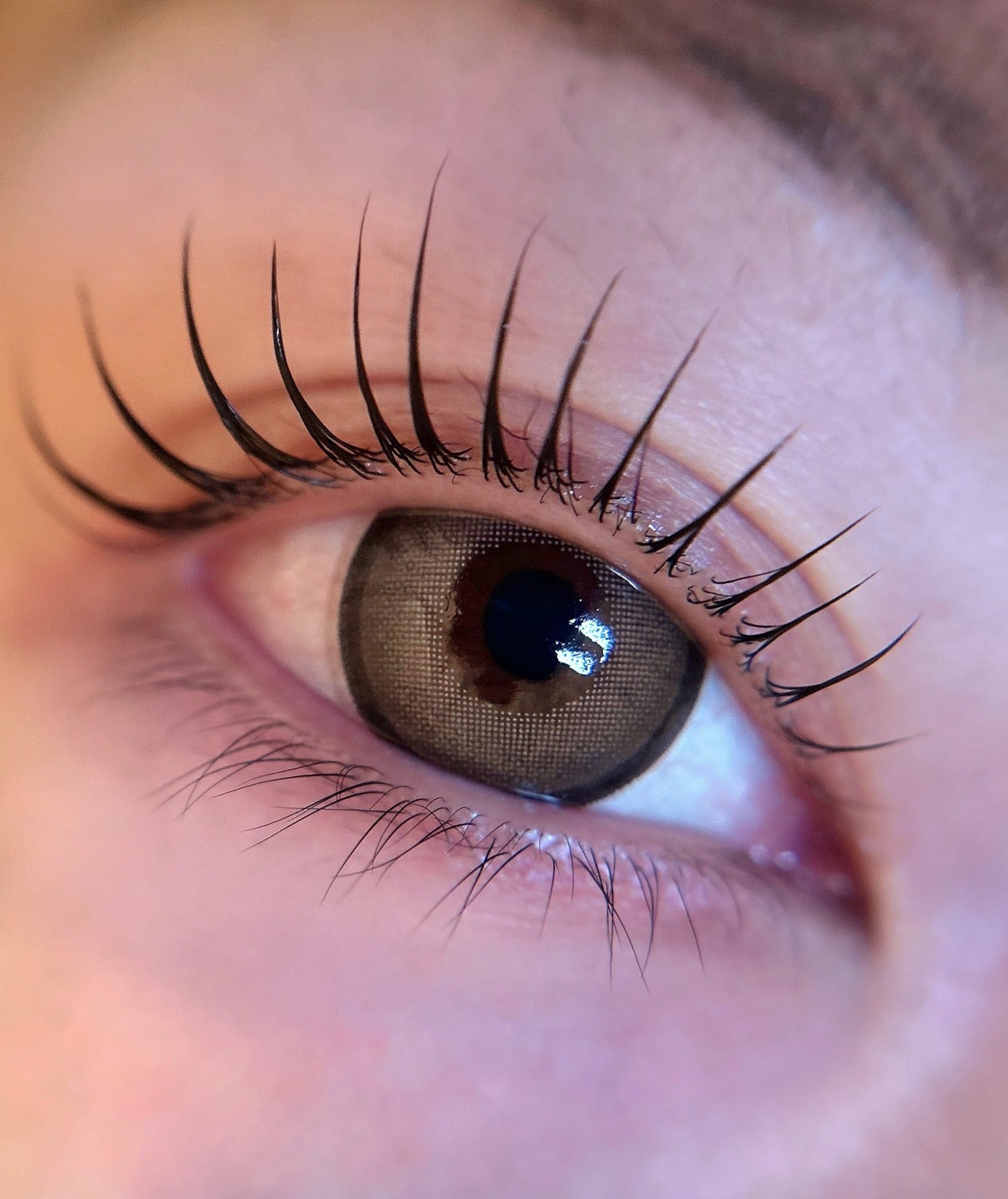 Eyelash felicite(大分)のメンズ眉毛サロン店内写真 1枚目