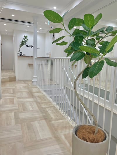 My sweet salon 岡山店 －マイスウィートサロン－ 店内写真 3枚目