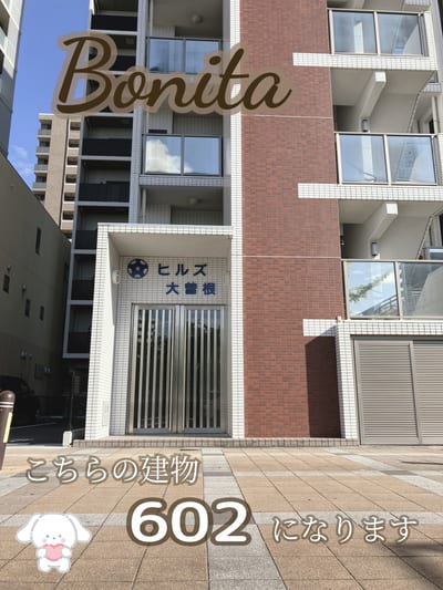 Bonita 店内写真 3枚目