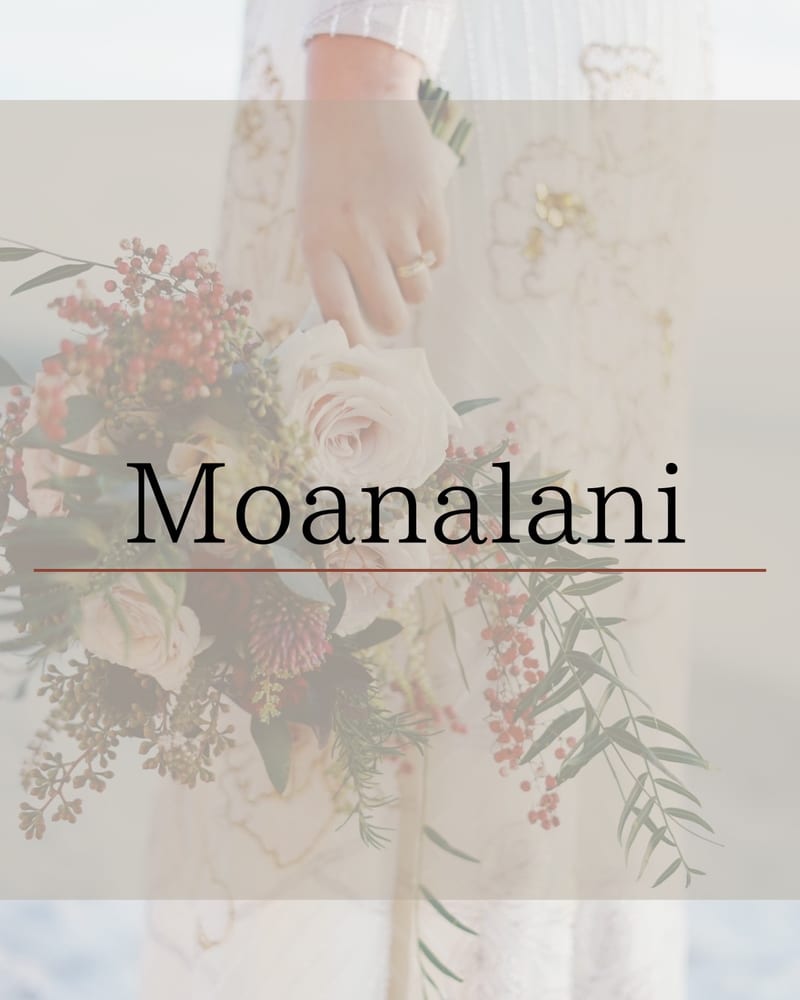 MoanaLani まつ毛パーマ・エクステ/美眉毛スタイリング(さいたま)のメンズ眉毛サロン