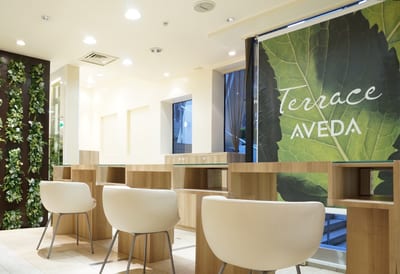 Terrace AVEDA 大丸心斎橋店 店内写真 1枚目