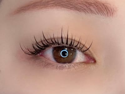 Eyelash ripplu心斎橋まつげパーマ/パリジェンヌ/アイブロウ/金の糸脱毛 店内写真 2枚目