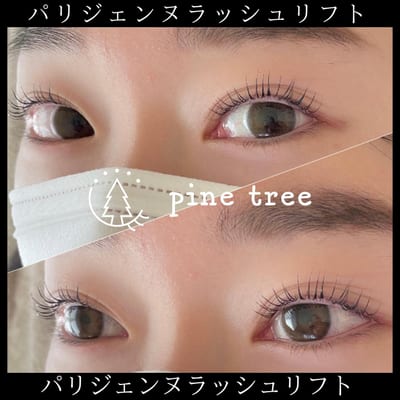 pine tree 店内写真 3枚目
