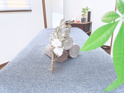 脱毛salon PLAN四日市 店内写真 4枚目